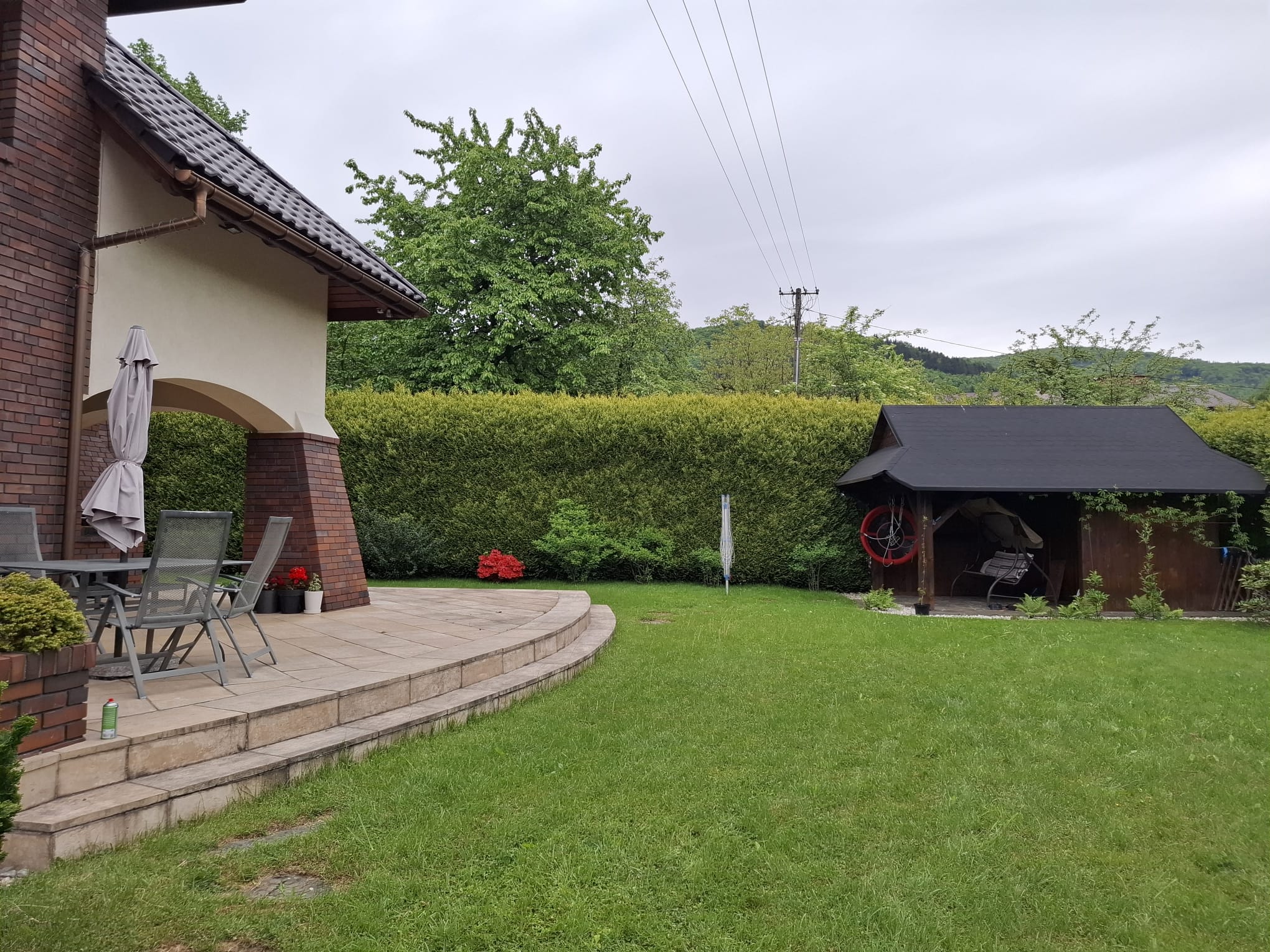 Żywopłot po renowacji