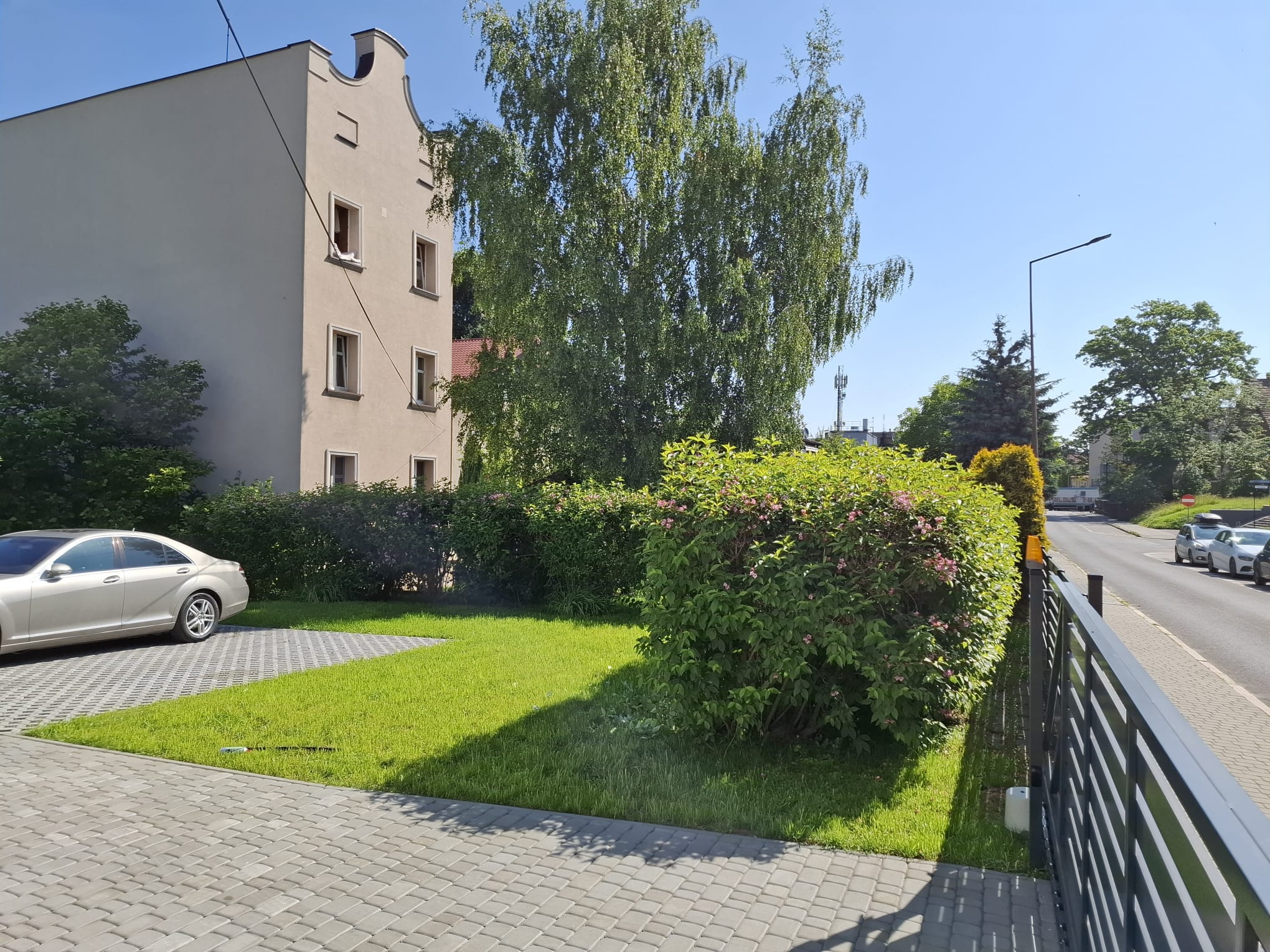 Utrzymanie żywopłotu prywatnego z tui