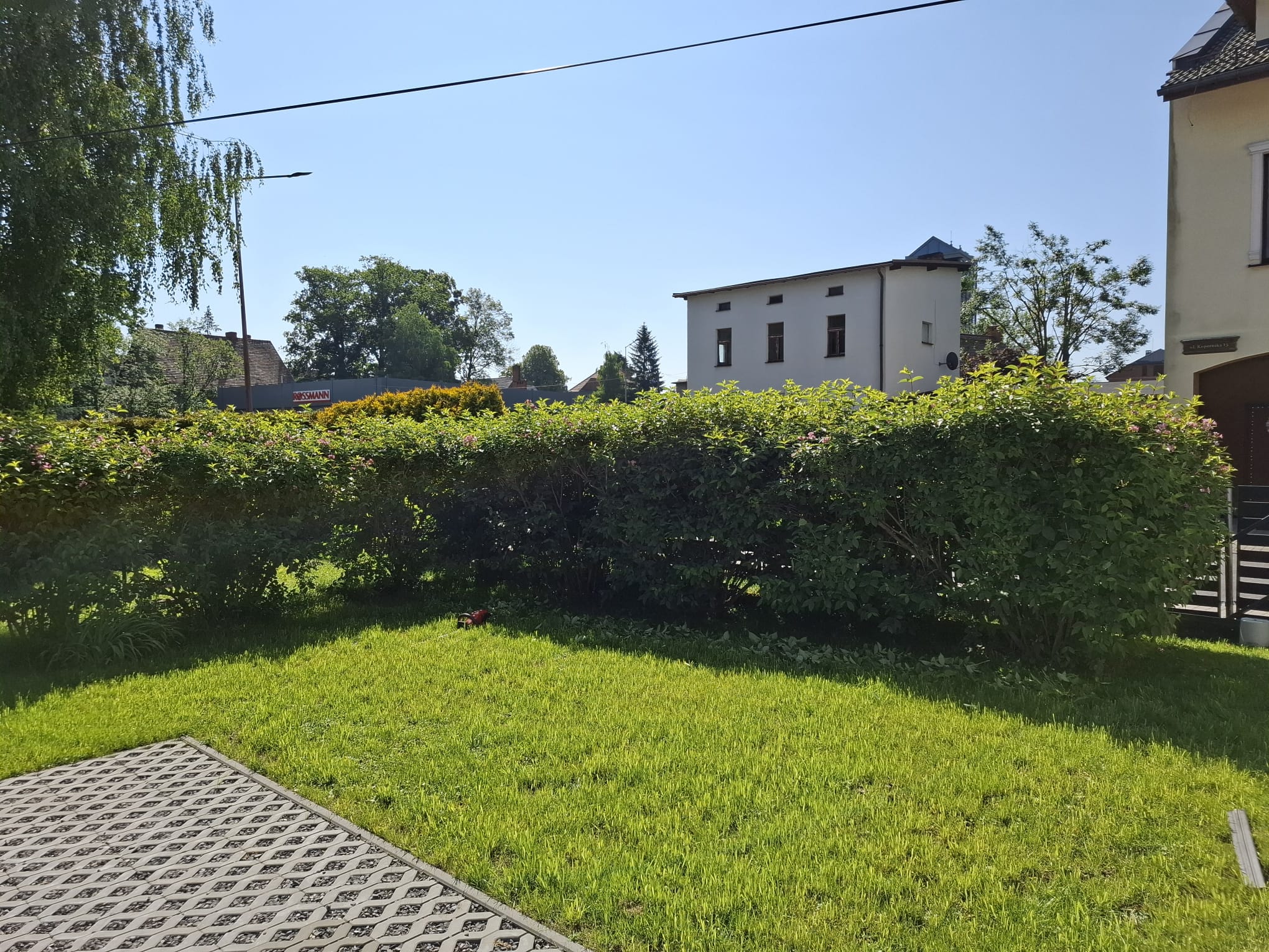 Profesjonalnie utrzymany żywopłot prywatny